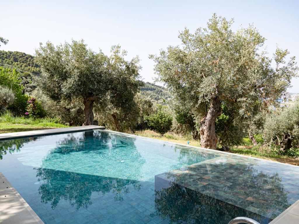 Dohos Skiathos Suites Ksanemos Екстер'єр фото