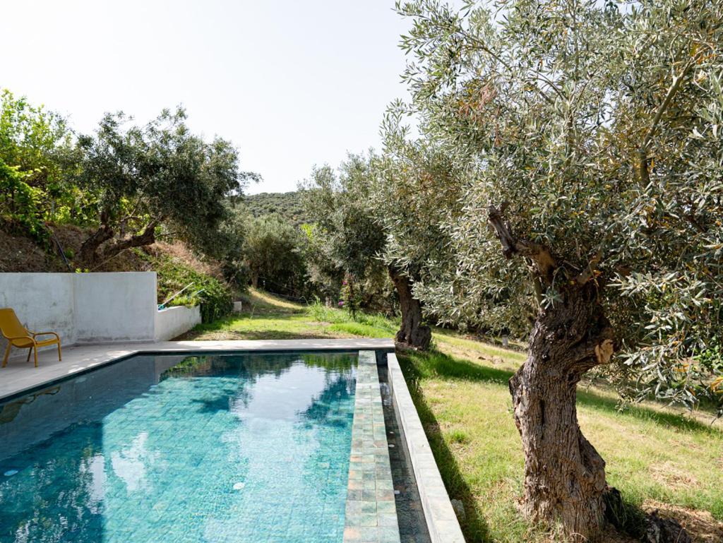 Dohos Skiathos Suites Ksanemos Екстер'єр фото